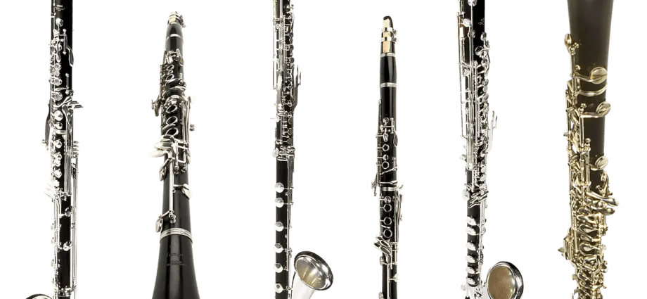 tipos-clarinetes